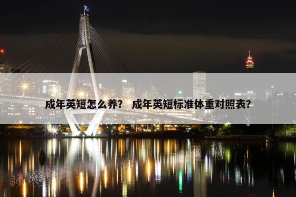 成年英短怎么养？ 成年英短标准体重对照表？