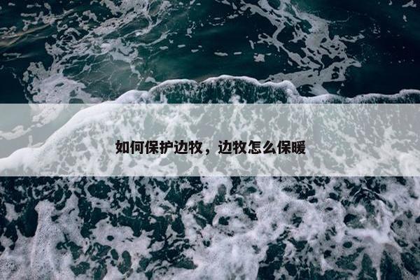 如何保护边牧，边牧怎么保暖