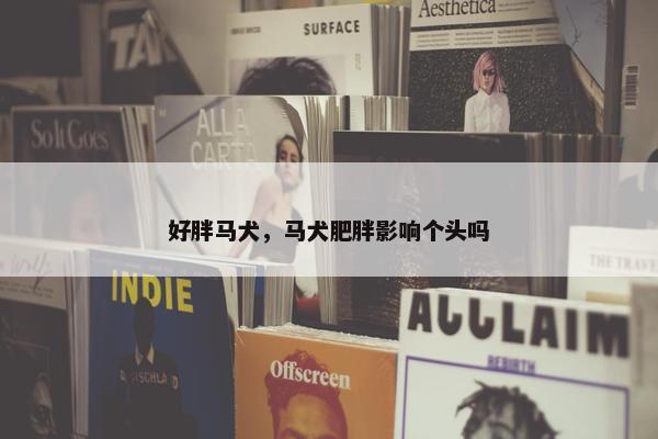 好胖马犬，马犬肥胖影响个头吗