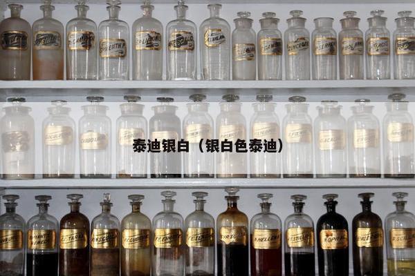 泰迪银白（银白色泰迪）