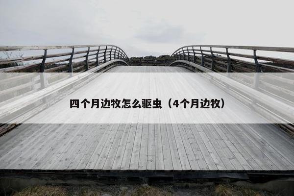 四个月边牧怎么驱虫（4个月边牧）