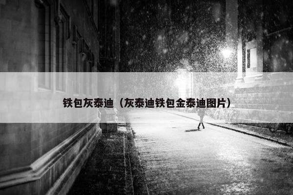 铁包灰泰迪（灰泰迪铁包金泰迪图片）