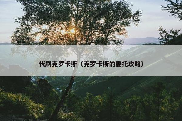 代刷克罗卡斯（克罗卡斯的委托攻略）
