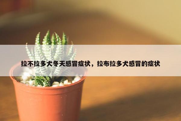 拉不拉多犬冬天感冒症状，拉布拉多犬感冒的症状