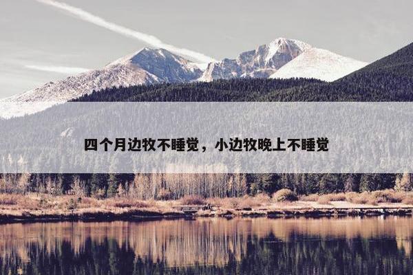四个月边牧不睡觉，小边牧晚上不睡觉