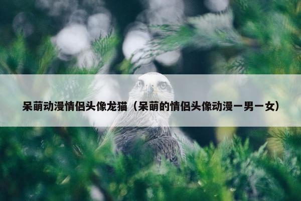 呆萌动漫情侣头像龙猫（呆萌的情侣头像动漫一男一女）
