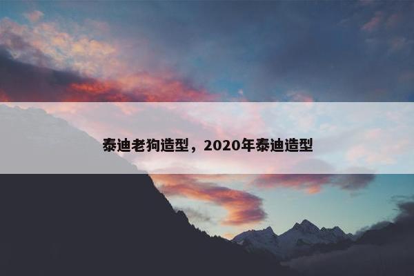 泰迪老狗造型，2020年泰迪造型