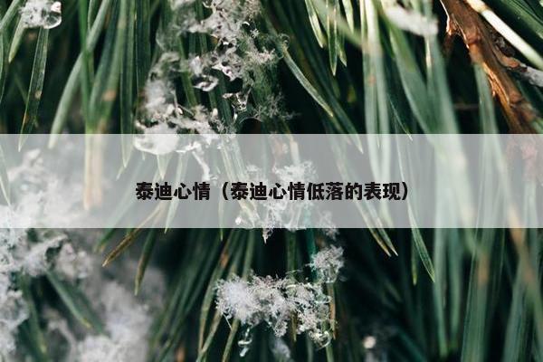 泰迪心情（泰迪心情低落的表现）