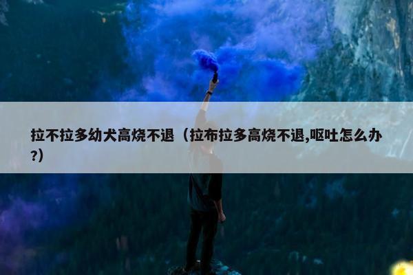 拉不拉多幼犬高烧不退（拉布拉多高烧不退,呕吐怎么办?）