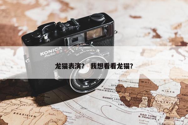 龙猫表演？ 我想看看龙猫？