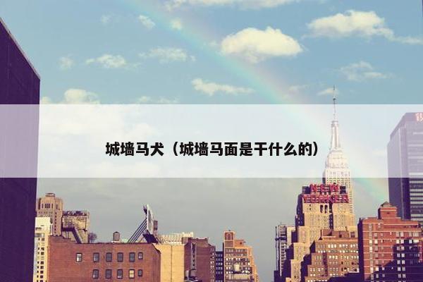 城墙马犬（城墙马面是干什么的）