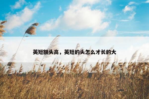 英短额头高，英短的头怎么才长的大