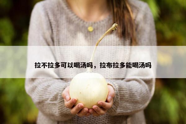 拉不拉多可以喝汤吗，拉布拉多能喝汤吗