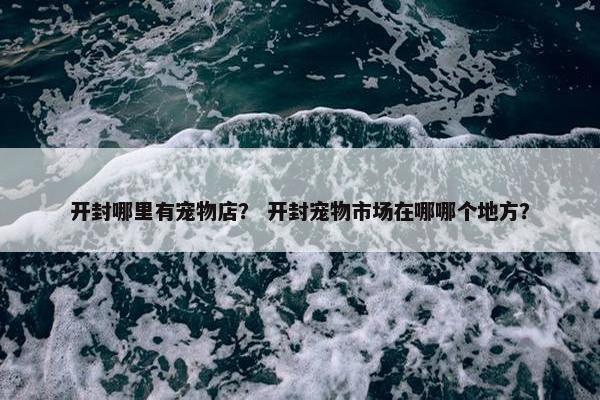 开封哪里有宠物店？ 开封宠物市场在哪哪个地方？