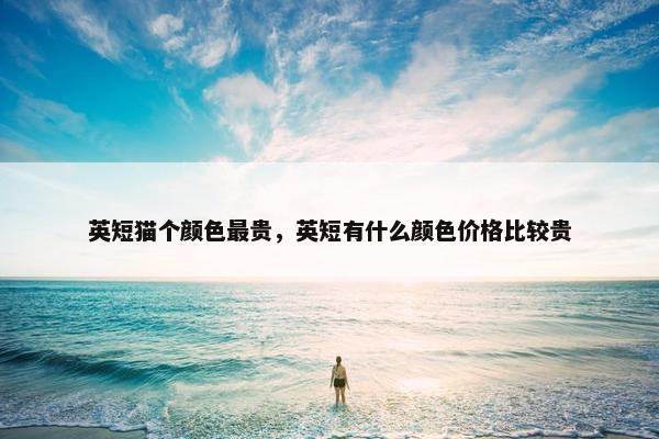 英短猫个颜色最贵，英短有什么颜色价格比较贵