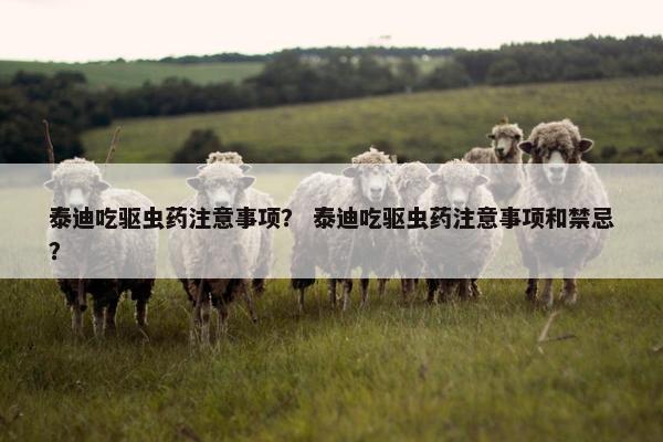 泰迪吃驱虫药注意事项？ 泰迪吃驱虫药注意事项和禁忌？