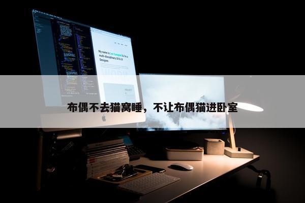 布偶不去猫窝睡，不让布偶猫进卧室