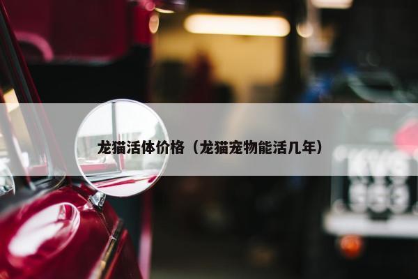 龙猫活体价格（龙猫宠物能活几年）