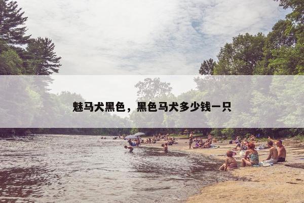 魅马犬黑色，黑色马犬多少钱一只