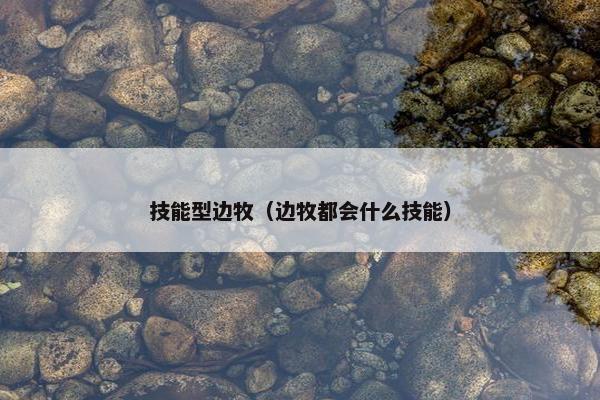 技能型边牧（边牧都会什么技能）