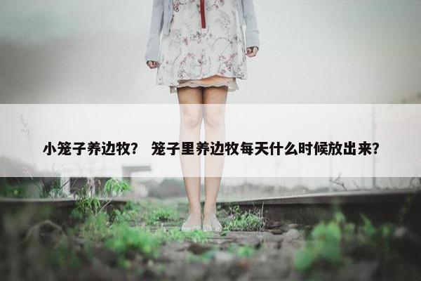 小笼子养边牧？ 笼子里养边牧每天什么时候放出来？
