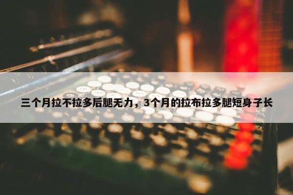 三个月拉不拉多后腿无力，3个月的拉布拉多腿短身子长