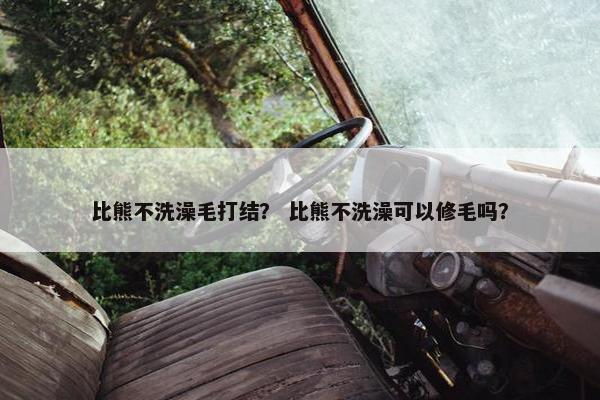 比熊不洗澡毛打结？ 比熊不洗澡可以修毛吗？