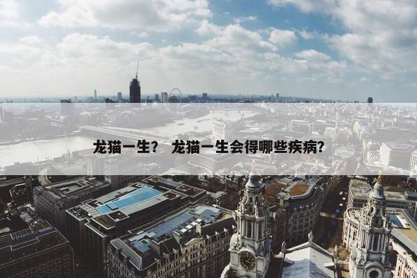 龙猫一生？ 龙猫一生会得哪些疾病？