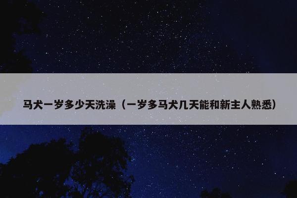 马犬一岁多少天洗澡（一岁多马犬几天能和新主人熟悉）