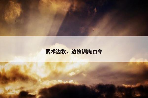武术边牧，边牧训练口令