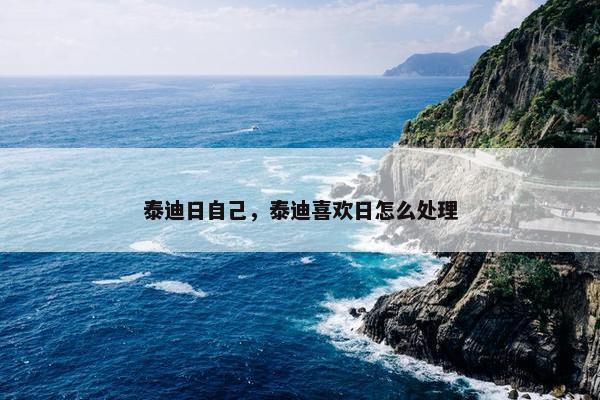 泰迪日自己，泰迪喜欢日怎么处理