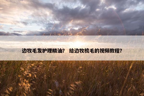 边牧毛发护理精油？ 给边牧梳毛的视频教程？