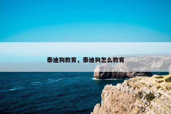 泰迪狗教育，泰迪狗怎么教育