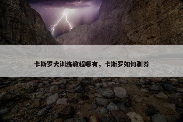 卡斯罗犬训练教程哪有，卡斯罗如何驯养