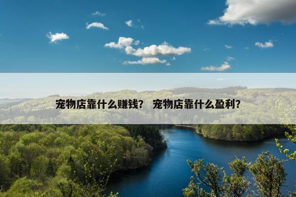 宠物店靠什么赚钱？ 宠物店靠什么盈利？