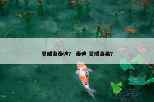 夏威夷泰迪？ 泰迪 夏威夷果？