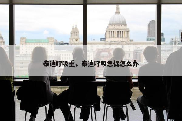 泰迪呼吸重，泰迪呼吸急促怎么办