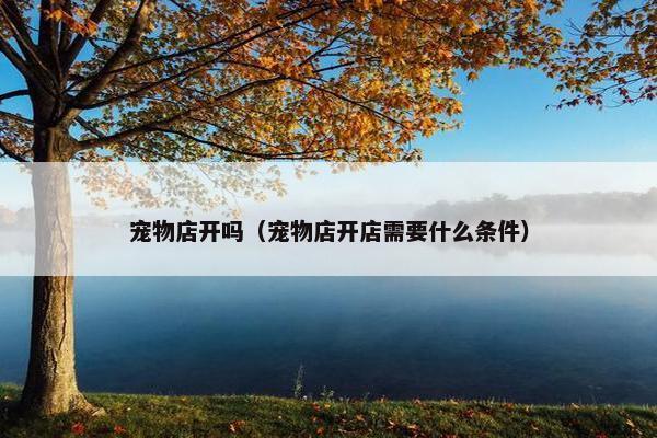 宠物店开吗（宠物店开店需要什么条件）