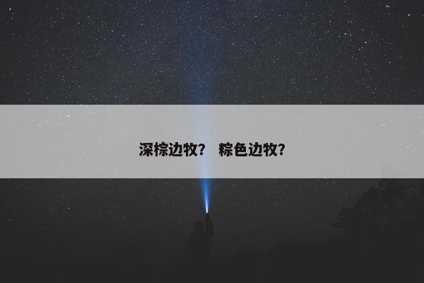 深棕边牧？ 粽色边牧？