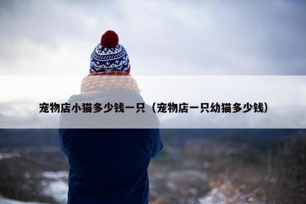 宠物店小猫多少钱一只（宠物店一只幼猫多少钱）