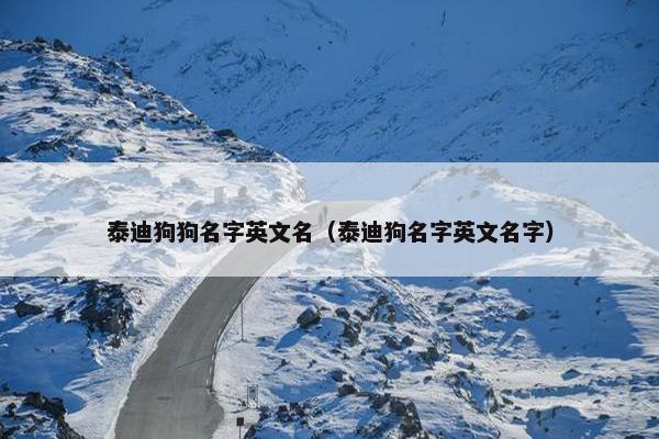 泰迪狗狗名字英文名（泰迪狗名字英文名字）