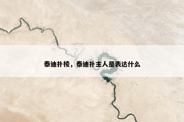 泰迪扑棱，泰迪扑主人是表达什么