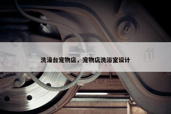 洗澡台宠物店，宠物店洗浴室设计