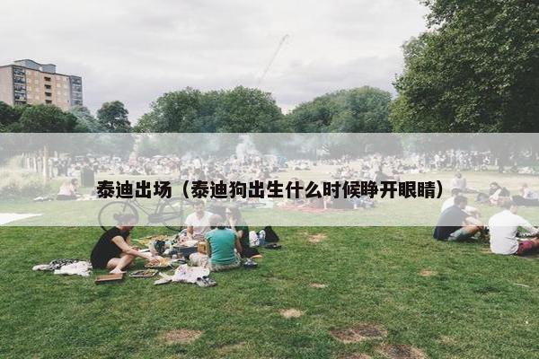 泰迪出场（泰迪狗出生什么时候睁开眼睛）