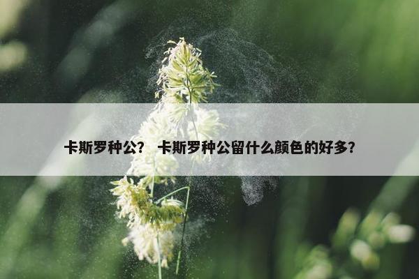 卡斯罗种公？ 卡斯罗种公留什么颜色的好多？