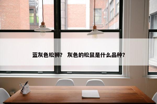 蓝灰色松狮？ 灰色的松鼠是什么品种？