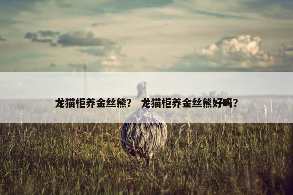龙猫柜养金丝熊？ 龙猫柜养金丝熊好吗？