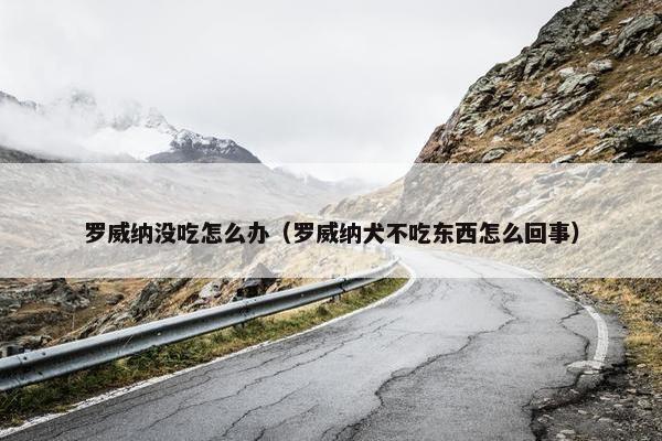 罗威纳没吃怎么办（罗威纳犬不吃东西怎么回事）