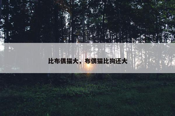 比布偶猫大，布偶猫比狗还大