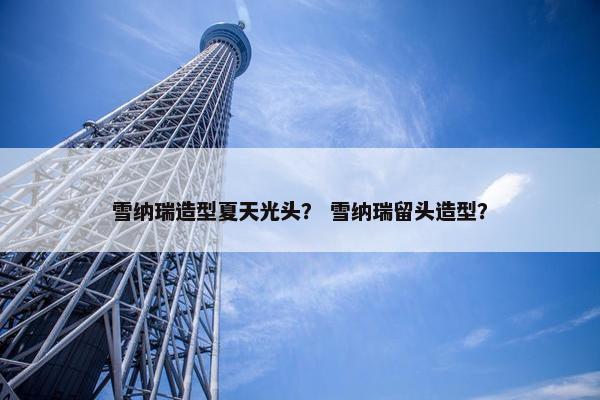 雪纳瑞造型夏天光头？ 雪纳瑞留头造型？